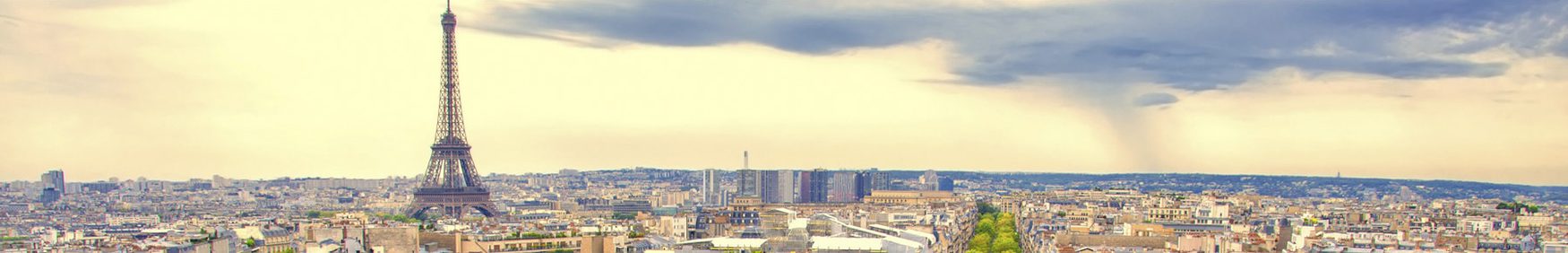 The eiffel tower and the city of paris.